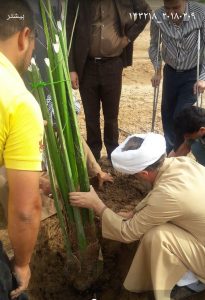 کاشت نهال توسط امام جمعه کارون به مناسبت روز درخت کاری