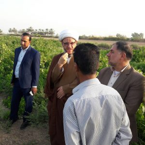 گزارش تصویری/بازدید امام جمعه کارون از باغات و نخیلات این شهرستان