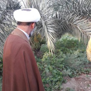 گزارش تصویری/بازدید امام جمعه کارون از باغات و نخیلات این شهرستان