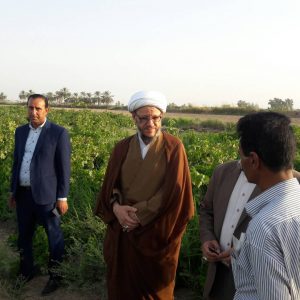 جشنواره های چهارگانه محصولات کشاورزی با حضور امام جمعه کارون برگزار شد