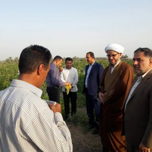 جشنواره های چهارگانه محصولات کشاورزی با حضور امام جمعه کارون برگزار شد