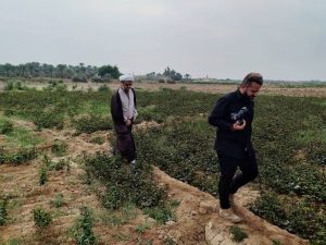 گزارش تصویری/بازدید امام جمعه کارون ازمزرعه چای قرمز در روستای علوه