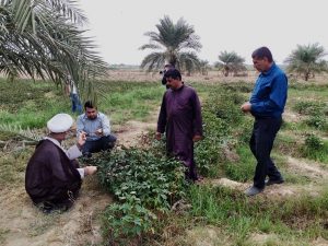 گزارش تصویری/بازدید امام جمعه کارون ازمزرعه چای قرمز در روستای علوه