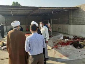 همزمان با عید سعید قربان و ذبح 30 رأس قربانی