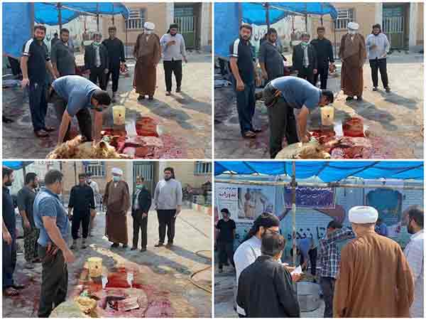 مراسم قربانی 35 راس گوسفند بمناسبت عید قربان