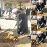 کاشت یک اصل نهال بمناسبت روز جهانی خاک